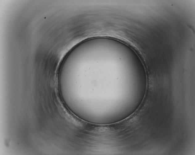 X0000103231517200809041013