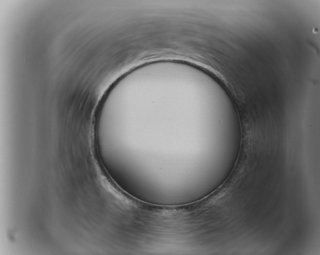 X0000103231518200809041013