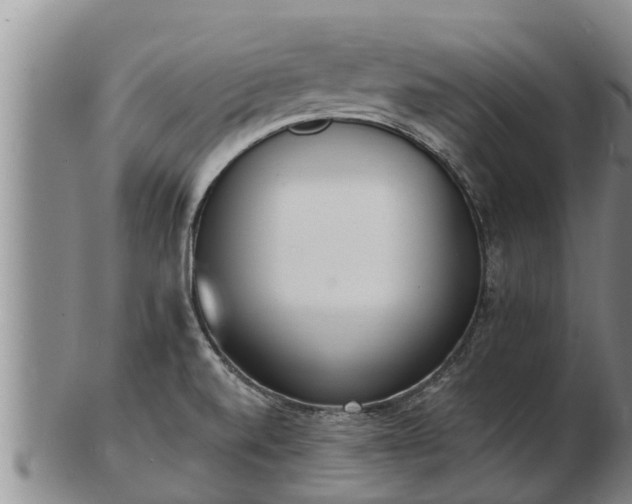 X0000103231520200809041013