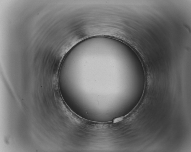 X0000103231521200809041013