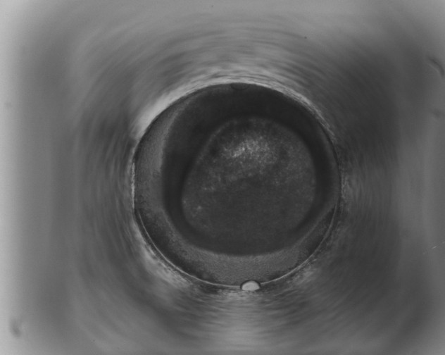 X0000103231522200809041013