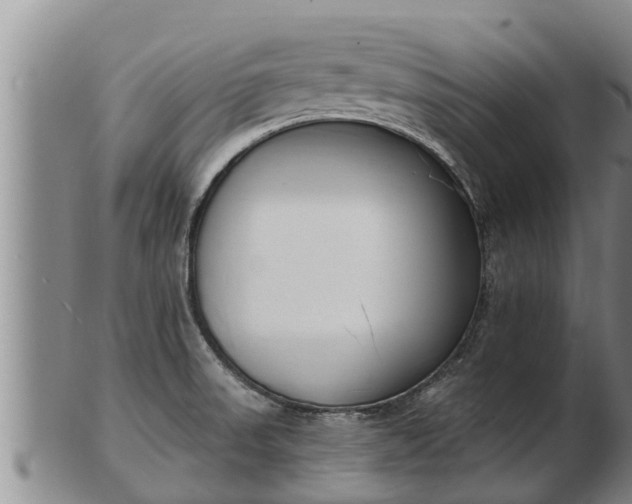X0000103231523200809041013