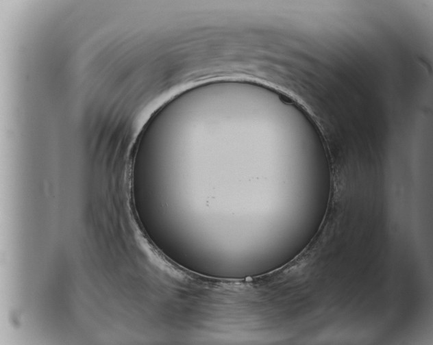 X0000103231526200809041013