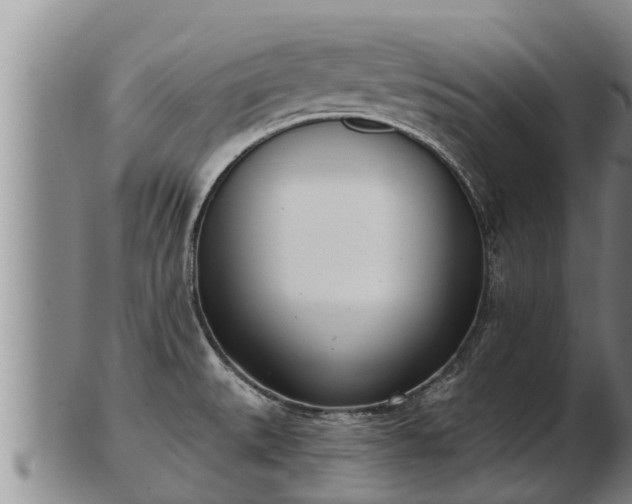 X0000103231527200809041013