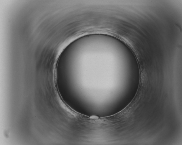 X0000103231528200809041013