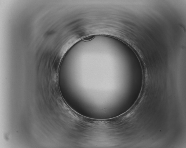 X0000103231529200809041014
