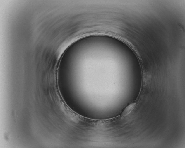 X0000103231530200809041014