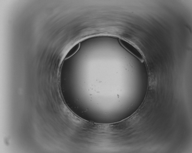 X0000103231532200809041014