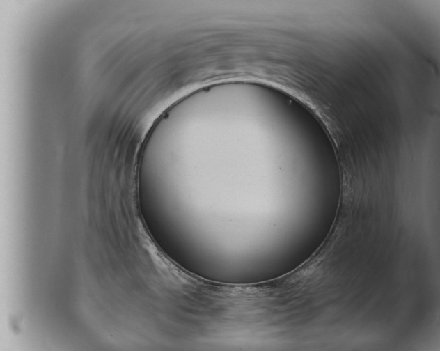 X0000103231534200809041014