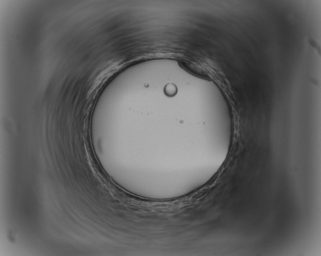X0000103230001200809111540