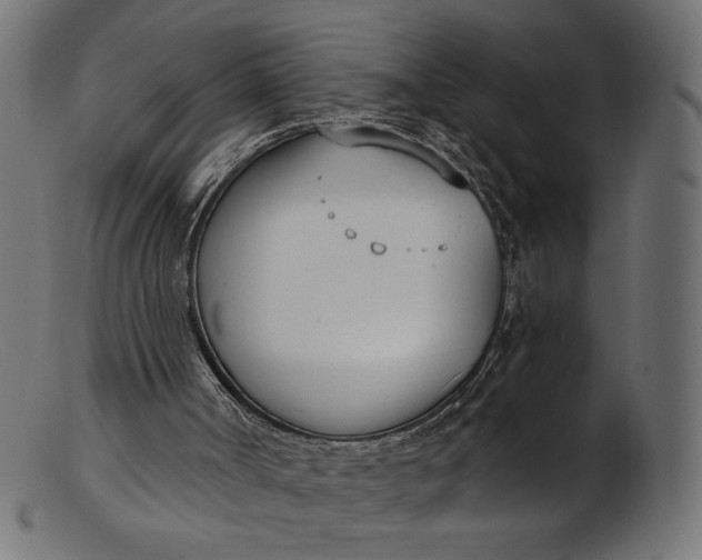X0000103230002200809111540
