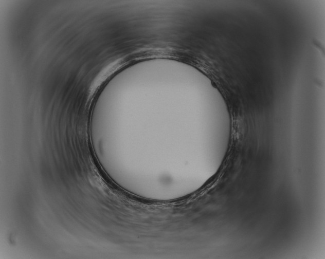 X0000103230004200809111540