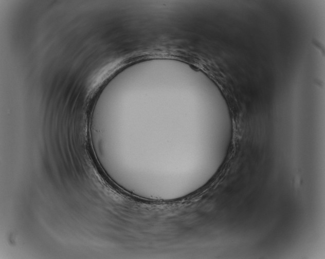 X0000103230005200809111540