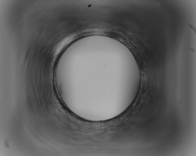X0000103230006200809111540
