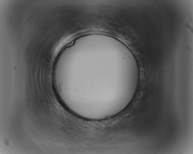 X0000103230007200809111540