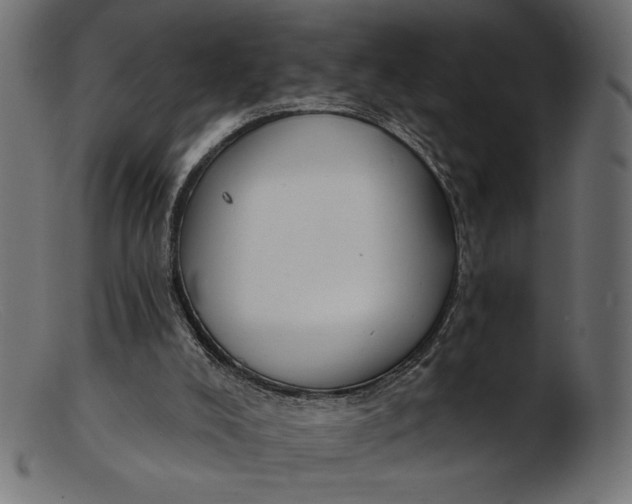 X0000103230008200809111540