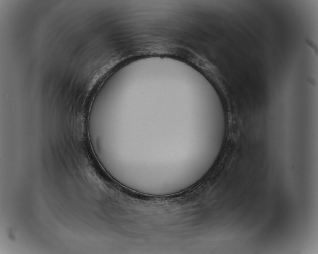 X0000103230012200809111540