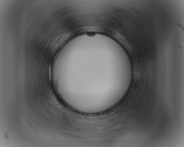 X0000103230014200809111540
