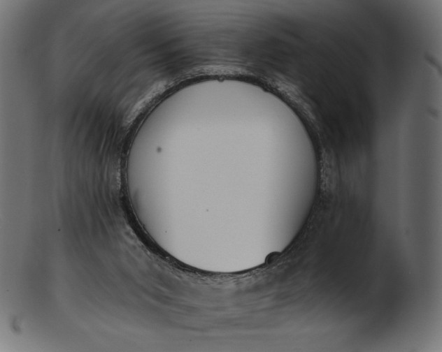 X0000103230015200809111540