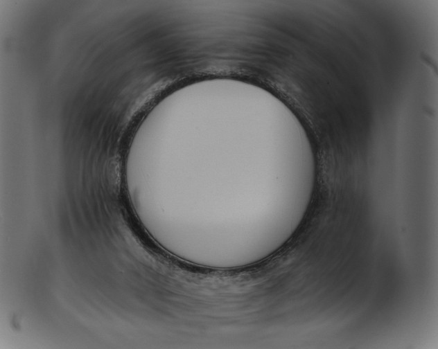 X0000103230016200809111540