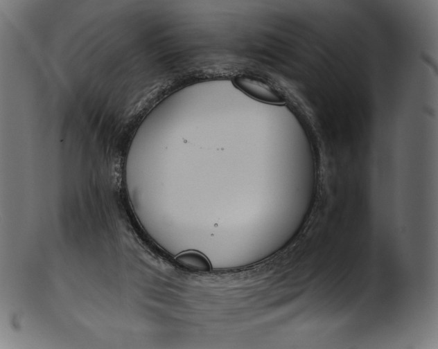 X0000103230017200809111540