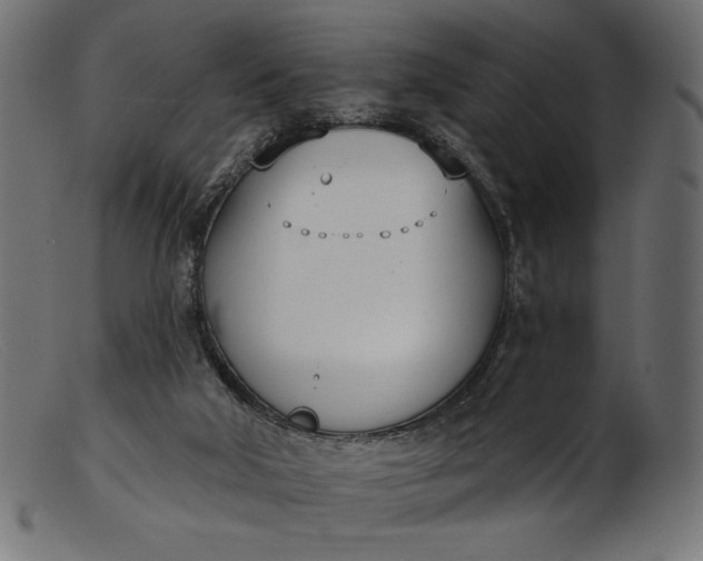 X0000103230018200809111540