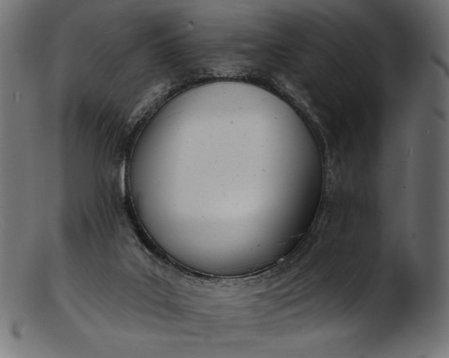 X0000103230019200809111540