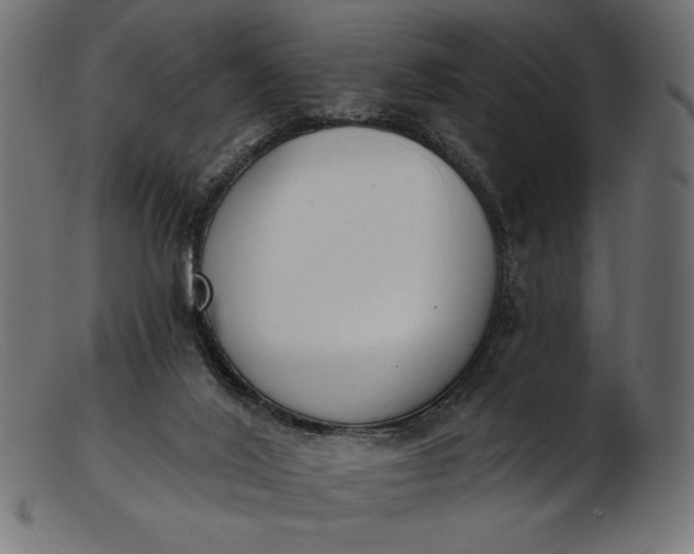 X0000103230020200809111540