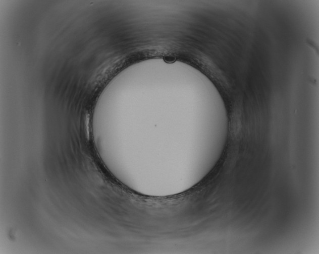 X0000103230022200809111540