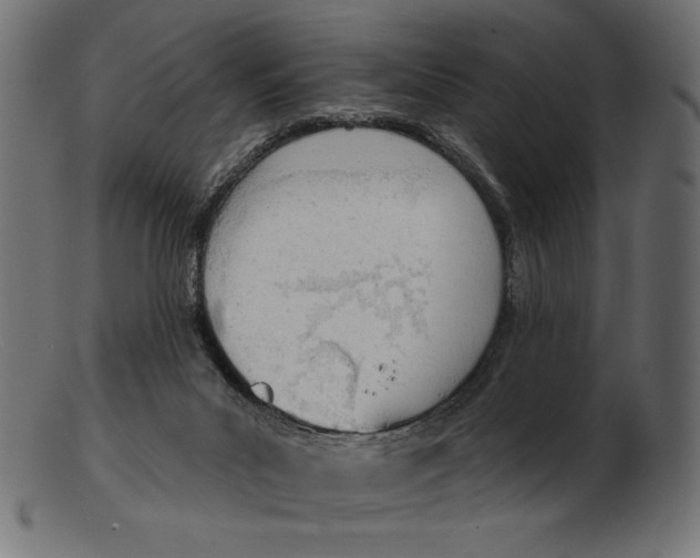 X0000103230023200809111540