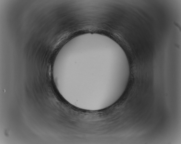 X0000103230024200809111540