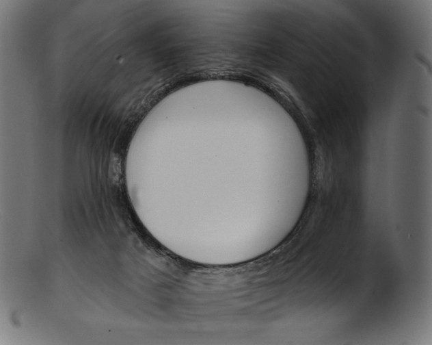 X0000103230025200809111540