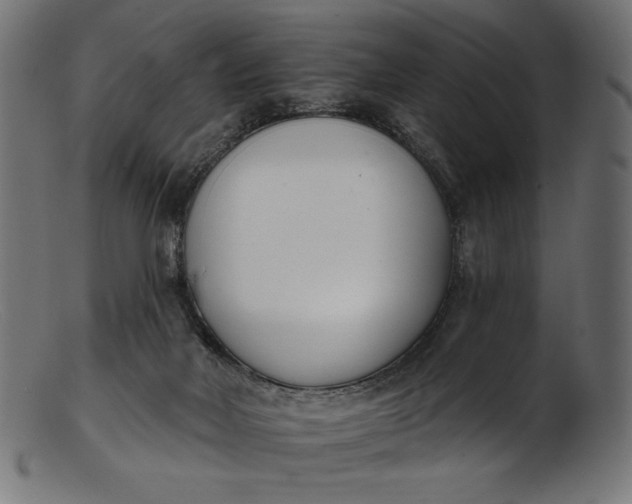 X0000103230026200809111540