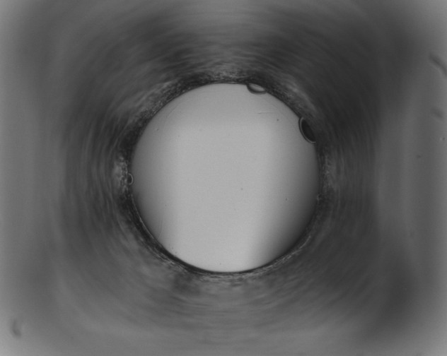 X0000103230029200809111540