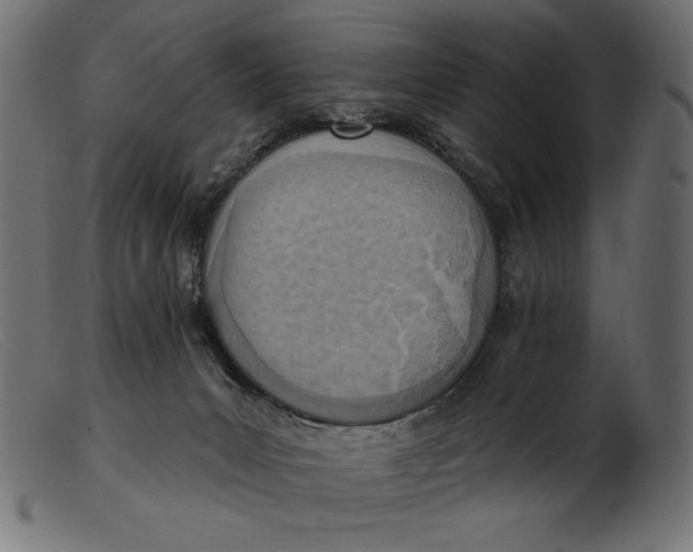 X0000103230031200809111540