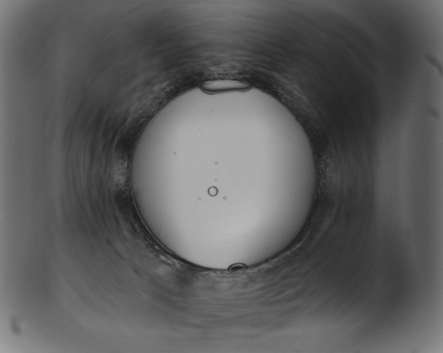 X0000103230033200809111540