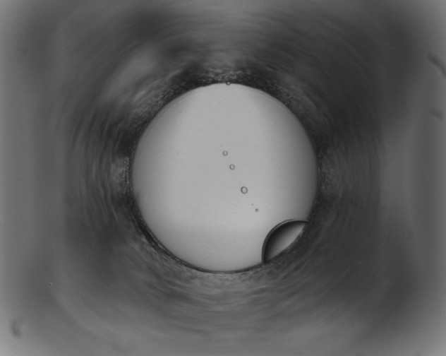 X0000103230034200809111540