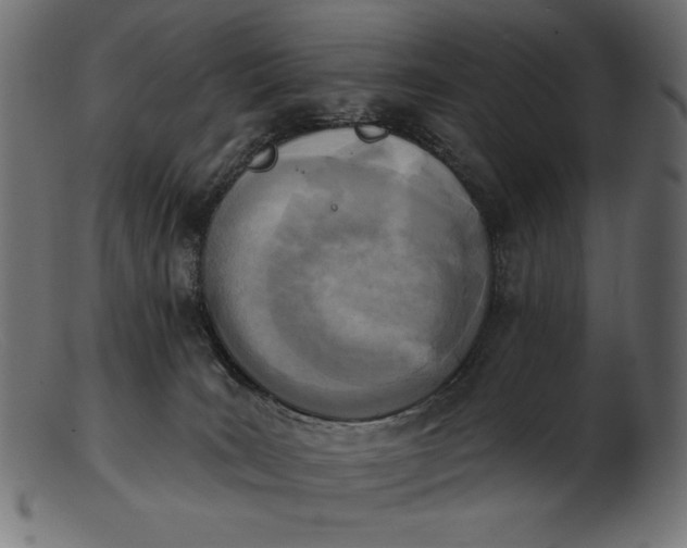 X0000103230035200809111540