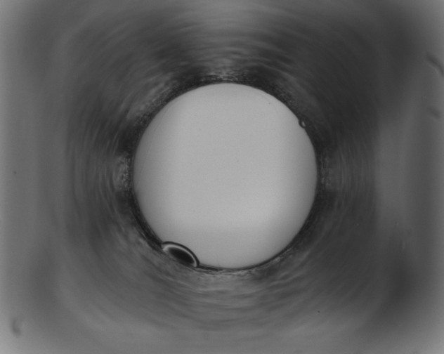 X0000103230036200809111540