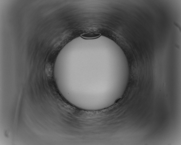 X0000103230037200809111540