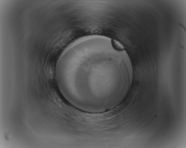 X0000103230039200809111540