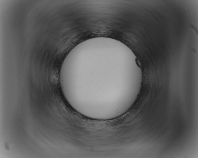 X0000103230040200809111540
