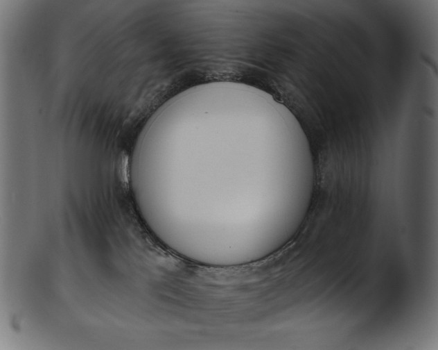 X0000103230041200809111540
