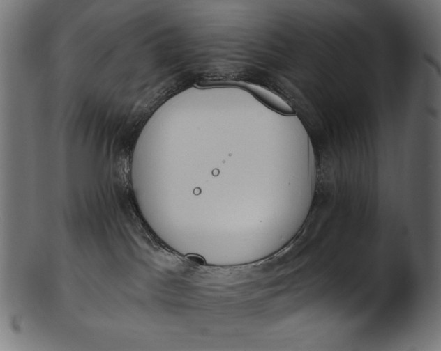 X0000103230045200809111540
