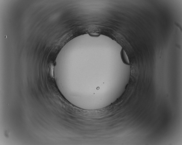 X0000103230046200809111540