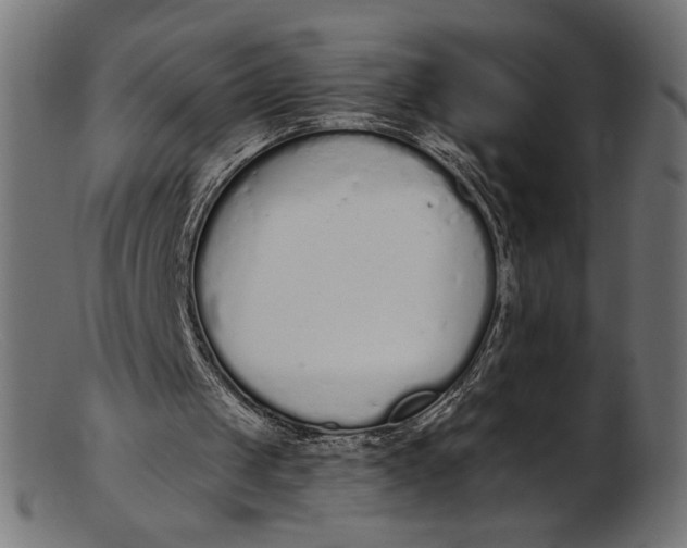 X0000103230049200809111539