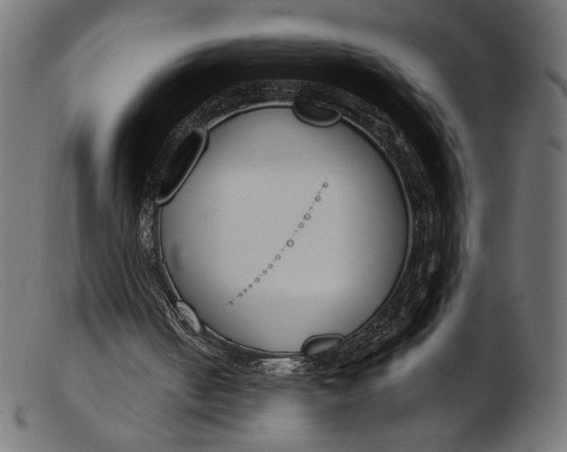X0000103230050200809111539