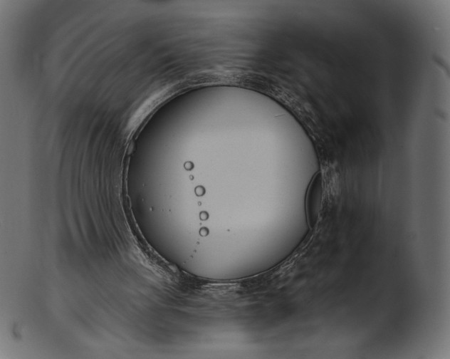 X0000103230051200809111539