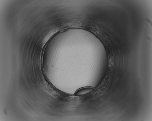 X0000103230052200809111539