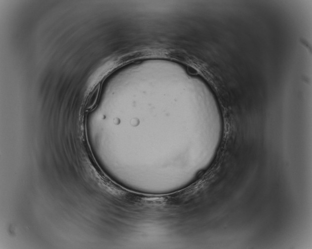 X0000103230053200809111539